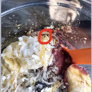 Badger bowl with the fly I noticed before I took my first bite.