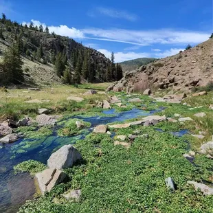 The watering hole/creek near the ranch! Must see!