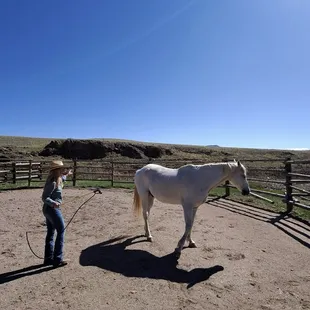 Horsemanship with Chrissy