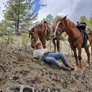 Picnic in the pastures
