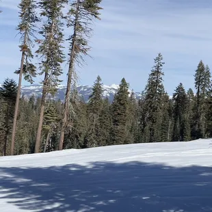 Great views, from the chairlift of the Yosemite backcountry