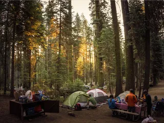 Crane Flat Campground