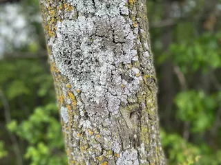 Pine Point Regional Park