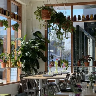 abundance of plants upon entry