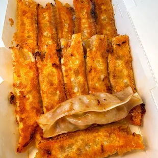 Kim chi potstickers  (see more OC eats on IG @capricorncow )