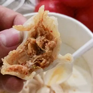 Kimchi Dumplings