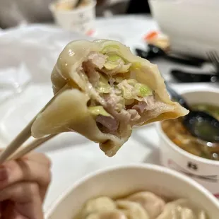 Bafang Signature Potstickers