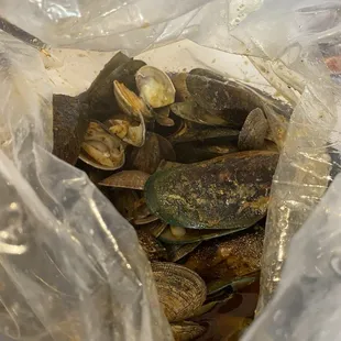 1 lb Clam and Mussels
