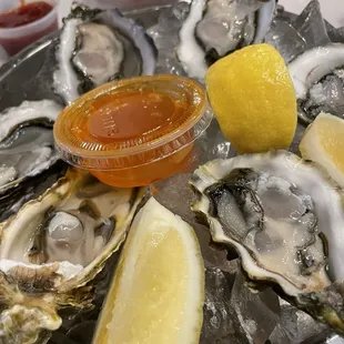 Raw Oysters