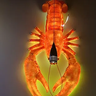 a bag o lobster hanging from the ceiling