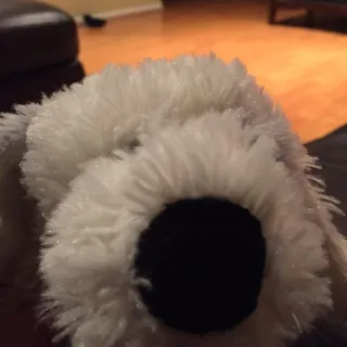 Andy S.