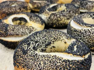 New York Bagel Company