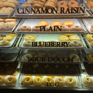 Cinnamon raisin, plain, blueberry,  sourdough, chocolate chip, egg