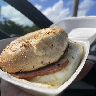 a hand holding a bagel sandwich