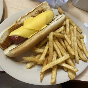 Kids Hotdog with French fries