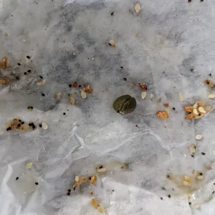 a piece of bread left on the ground