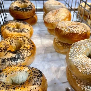 food, bagels, bagel