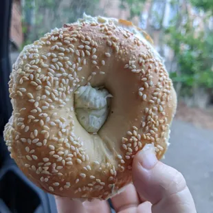 a hand holding a sesame bagel