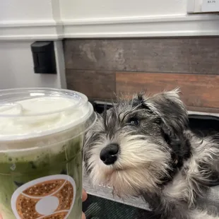 Everyone wants matcha