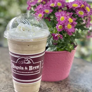 Kona Coffee Kooler