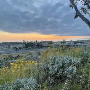 Behind Walmart