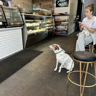 a woman sitting at a counter with her dog