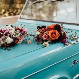 Photo by Alicia Lucia