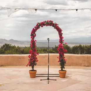 Photo by Ashley Joyce Photography