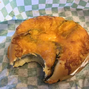 Cheddar Bagel