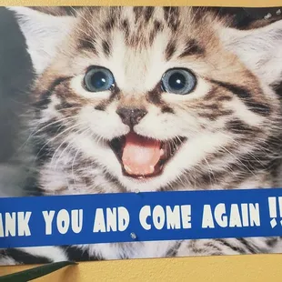 So cute!