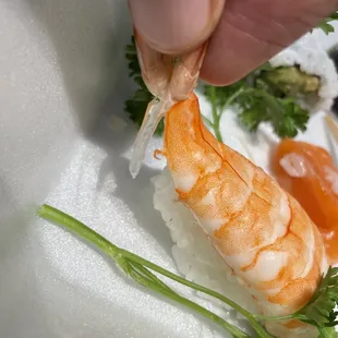 Cooked Shrimp