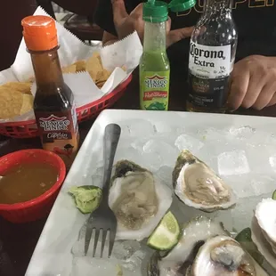 Beer, FRESH oysters