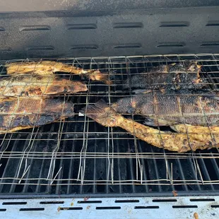Grilled Robalo fish. Zarandeado.