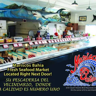 a display of fresh seafood