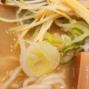 GINGER MISO RAMON