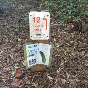 20 hole disc golf!   A blast, even for first timers.