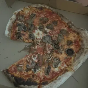 Mushroom pizza