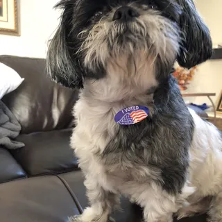 Eric H.
