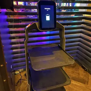 Wall-E the Robot. He was on break again when we were leaving.