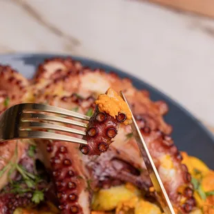 a fork picking up a piece of octopus