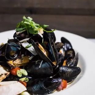 Mucho Mussels