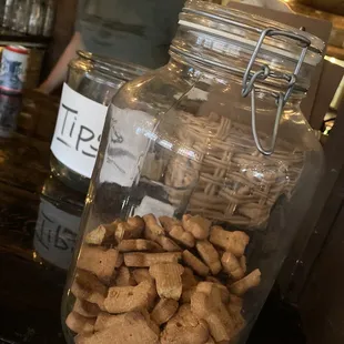 Bring your doggies!
