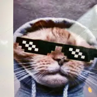 Tom n.