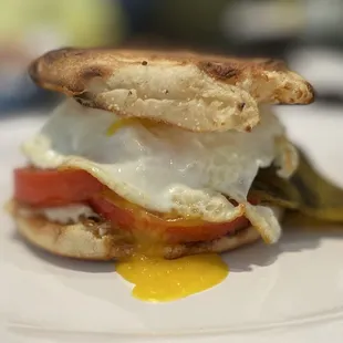 Shaggy Snak with tomato