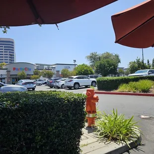 sushi and sashimi, outside