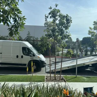 Towing adjacent properties tenants business vehicles. Tows 4+ cars daily.
