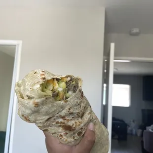 a hand holding a burrito