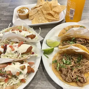 fish tacos| birria tacos