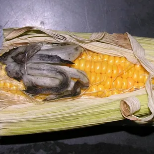 Huitlacoche Corn Truffle.  A must try is Baja Style Huitlacoche salsa inside a quesadilla made w/ fresh handmade flour tortilla!