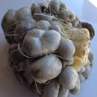 Huitlacoche known as Corn Truffles, or Smut&apos;srooms is a true Mexican delicacy.  Andrew Zimmerman of Bizzare Foods says &apos;tasty&apos;!